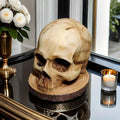 Skull-Shaped Knife Holder